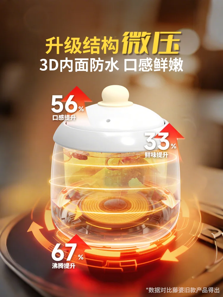 220V Tengpo Electric Slow Cook - Slow Cooker Ceramic 评论和价格
