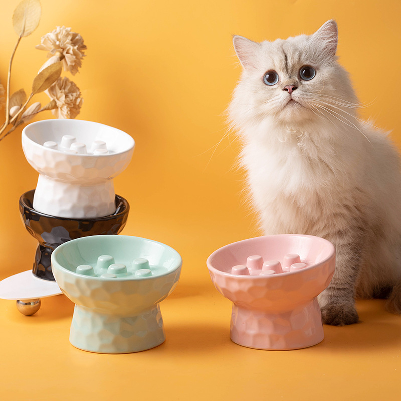 1pc Cat Bowl Ceramic High Foot - Slow Cooker Ceramic 评论和价格